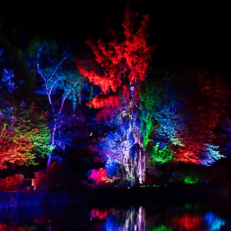 Low Light - Herbstleuchten im Maximilianpark Hamm