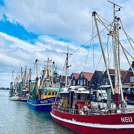 Idyllischer Sony Expertentag am Alten Hafen Neuharlingersiel