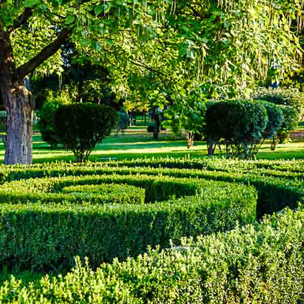 Makro- und Natur-Fotografie im Zitadellenpark Vechta