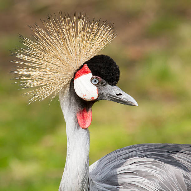 Zoo-Fotografie im Tierpark Hamm