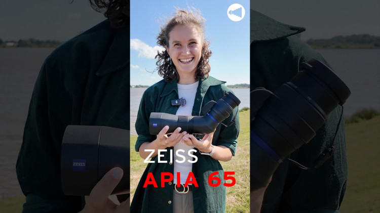 Zeiss Apia 65 - Dein nächstes Spektiv?