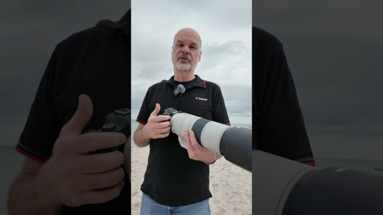 Canon R6 Mark III + 200-800mm: Ein Traum für Naturfotografen!